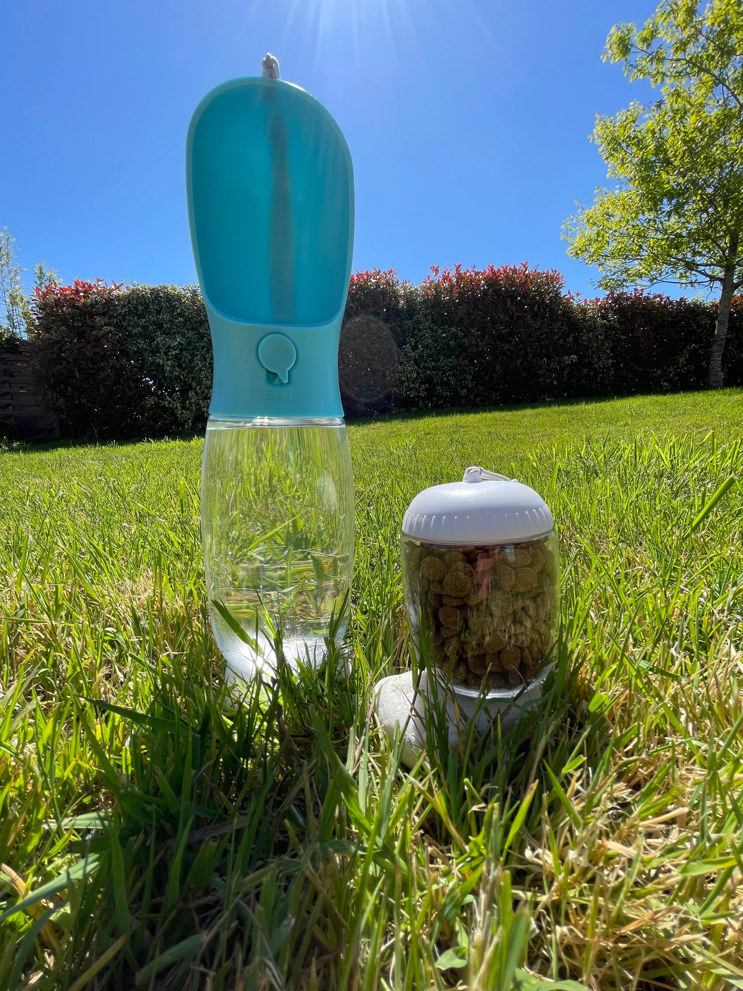 🐶La Gourde 2-en-1 pour animaux – 550 ml